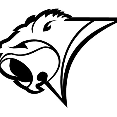 Beaver